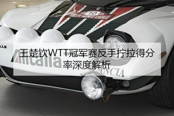 王楚钦WTT冠军赛反手拧拉得分率深度解析