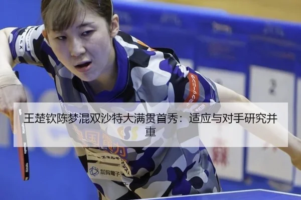 wang-chu-qin-chen-meng-hun-shuang-sha-te-da-man-guan-shou-xiu-shi-ying-yu-dui-shou-yan-jiu-bing-zhong-2-778.jpg
