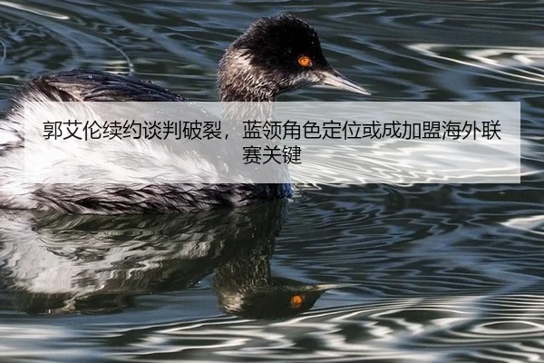 guo-ai-lun-xu-yue-tan-pan-po-lie-lan-ling-jue-se-ding-wei-huo-cheng-jia-meng-hai-wai-lian-sai-guan-jian-2-591.jpg