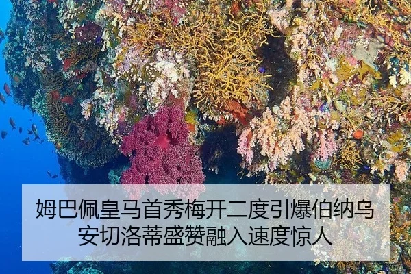 mu-ba-pei-huang-ma-shou-xiu-mei-kai-er-du-yin-bao-bo-na-wu-an-qie-luo-di-sheng-zan-rong-ru-su-du-jing-ren-3-957.jpg