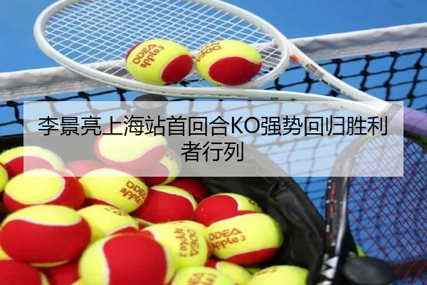 li-jing-liang-shang-hai-zhan-shou-hui-he-qiang-shi-hui-gui-sheng-li-zhe-hang-lie-2-280.jpg